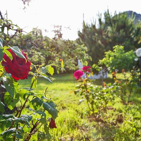 Villa Steleni Nea Iraklitsa Екстериор снимка